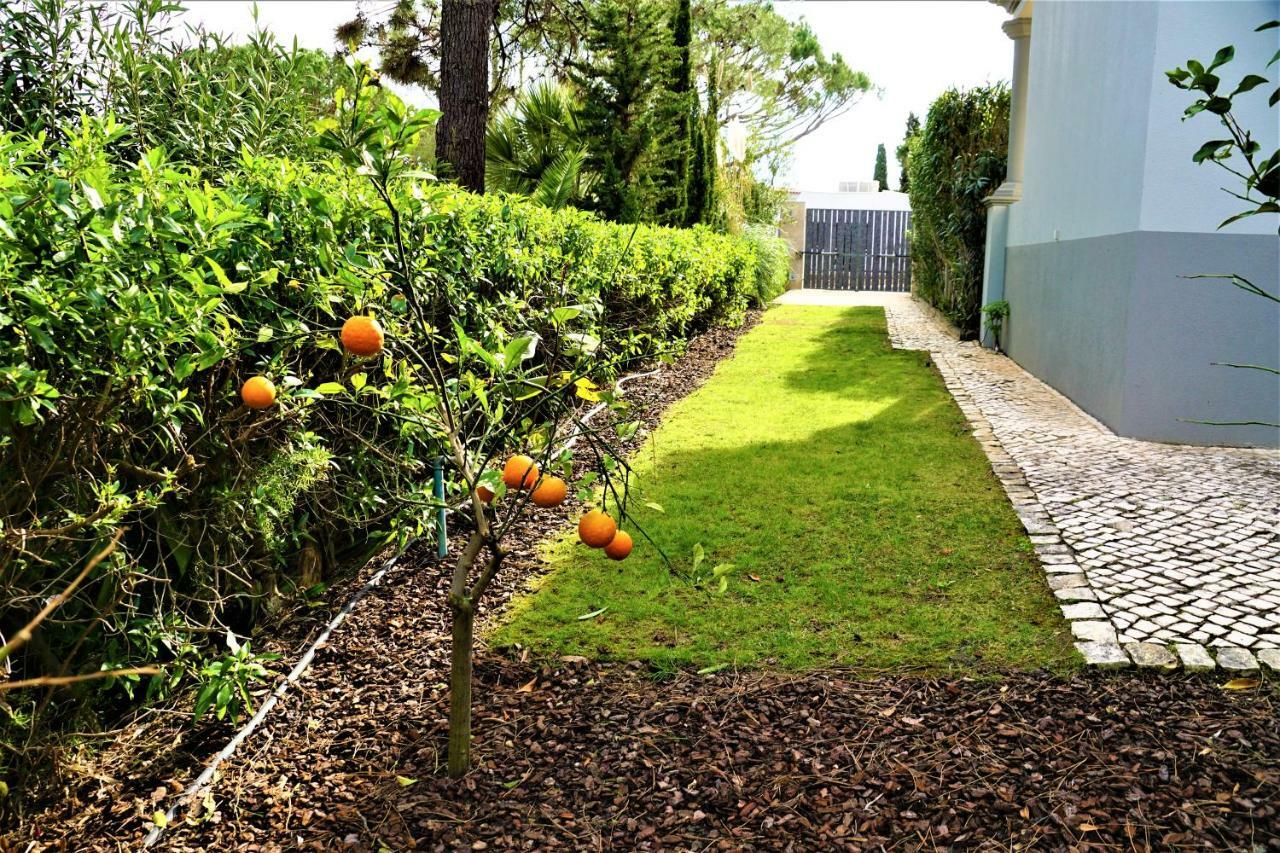 Charming Exceptional Golf Villa In Algarve District de District de Faro Extérieur photo